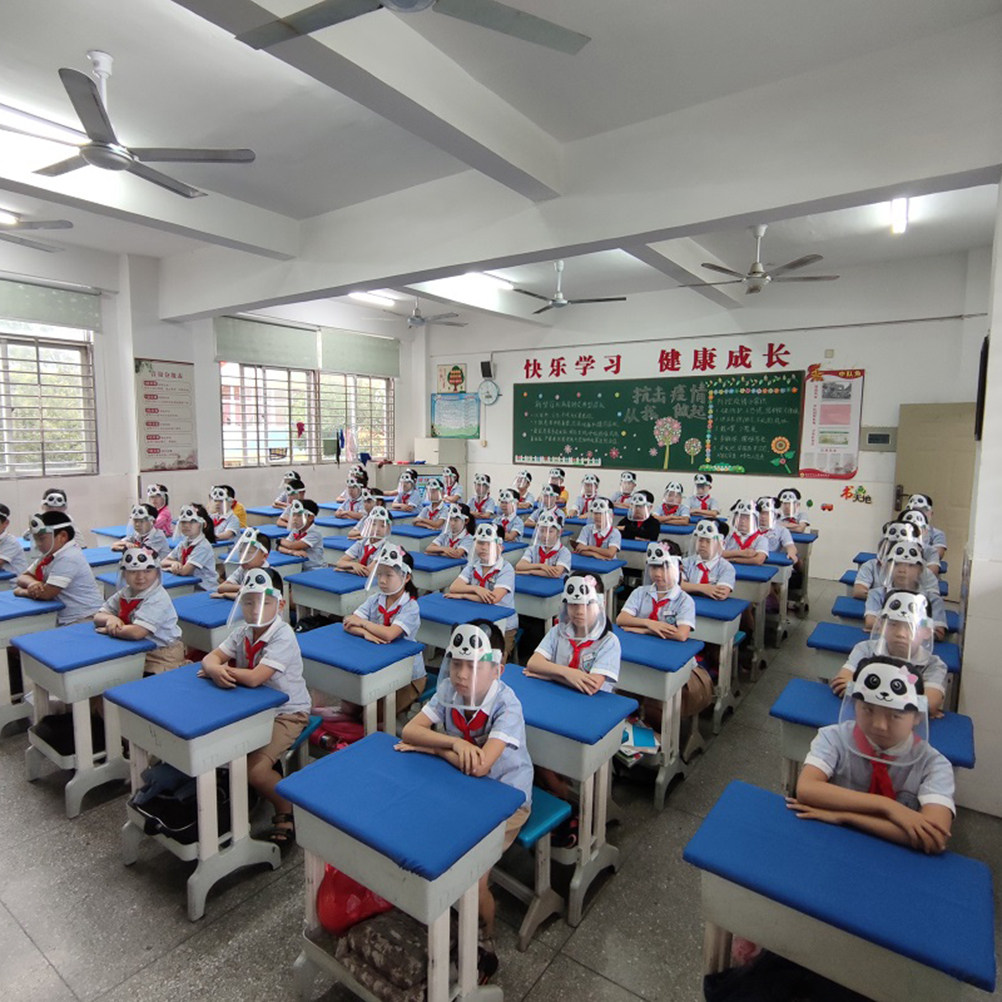 2Pcs Kids Protective Face Guar - Kids Face Mask review and price